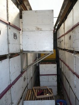 P1020561 (Copy).JPG