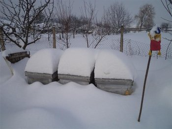 DSC00818 (Small).JPG