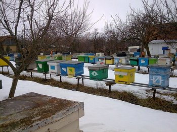 Tati038.jpg