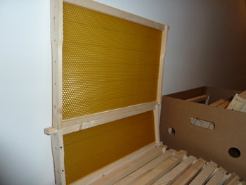 P1020201.JPG