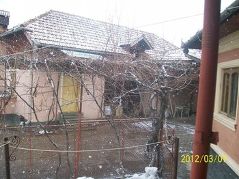 100_2255 (Small).JPG