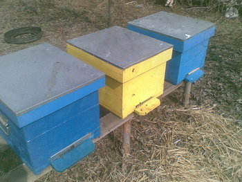 09032012(003)_opt.jpg