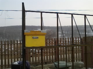 10032012079-001.jpg