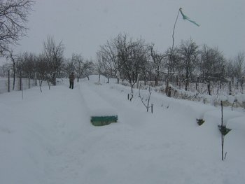 stupi 038 (Copy).jpg