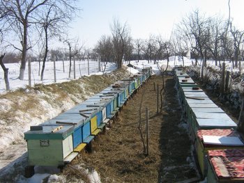 stupi febroarie 010 (Copy).jpg