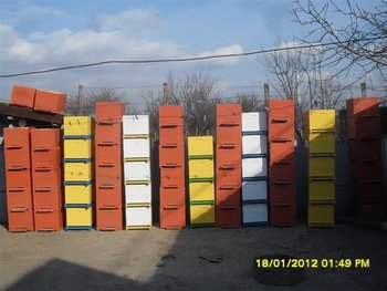 Picture 168 (Medium).jpg