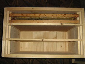 cut feb 030 (Copy).jpg