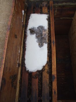 DSCF5875.JPG