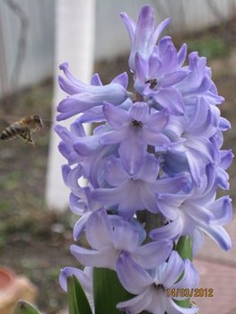 IMG_3204.JPG