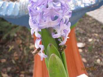 IMG_3213.JPG