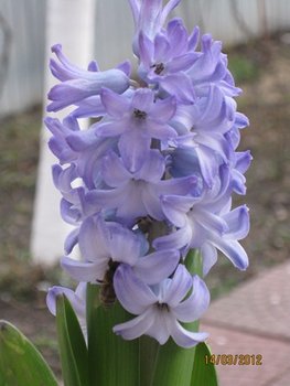 IMG_3206.JPG