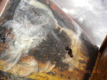 DSCN4794.jpg