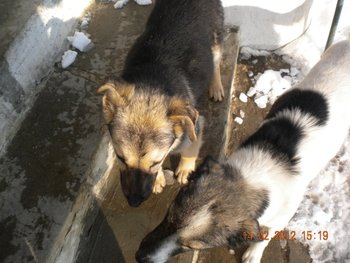 DSCN4796.jpg
