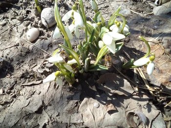 DSC00993 (Small).JPG