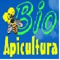 Avatar utilizator
