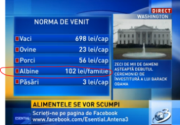 Norma de venit - Copy.PNG