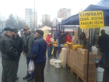 campina.jpg