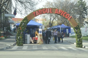 Valcea.jpg