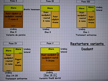 Restartare sistem Dadant 1.jpg
