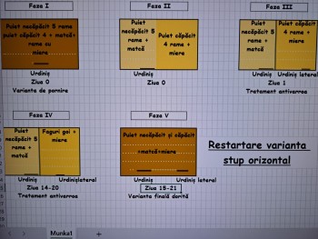 Restartare sistem orizontal 1.jpg
